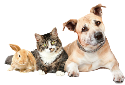 tilosina veterinaria tylan cane gatto farmaco galenico