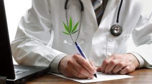 Semplificare la vita a Medici e pazienti: pronta da scaricare la ricetta medica cannabis!
