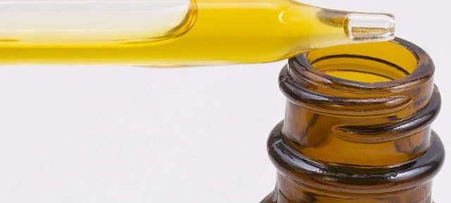 CBD oil: cannabis Bedrolite farmaco legale