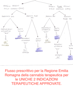 Prescrizione cannabis mutuabile terapeutica in Emilia Romagna