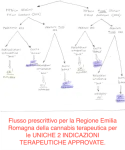 Prescrizione cannabis mutuabile terapeutica in Emilia Romagna