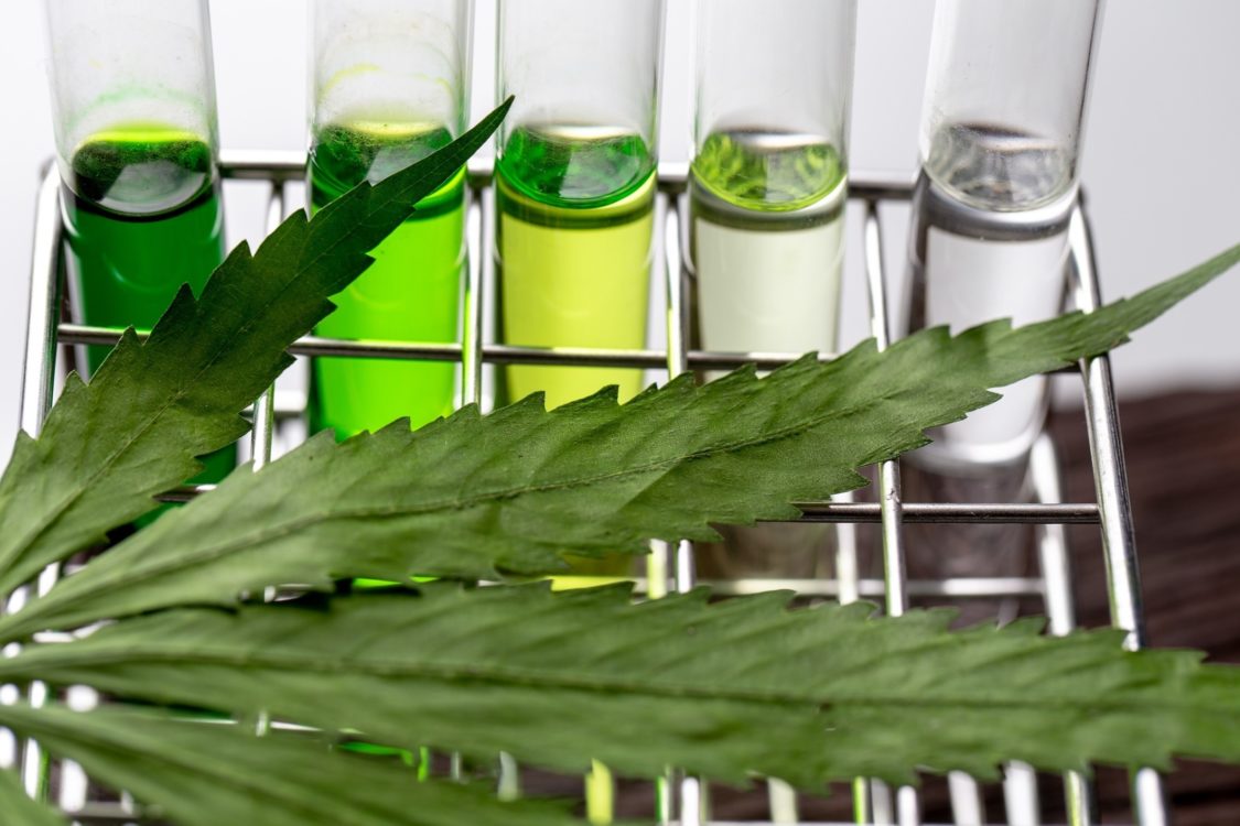 Titolazione olio di cannabis: calcolo dosaggio THC e CBD