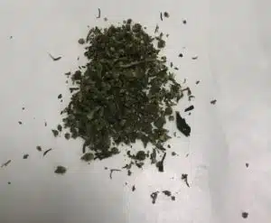 infiorescenze cananbis medica bedica bediol bedrolite