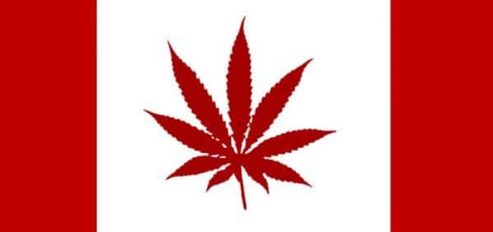 cannabis italia farmacia farmagalenica