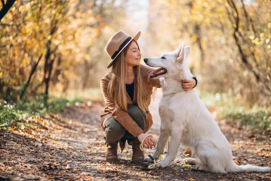 Tiopronina compresse, farmaco uso veterinario e umano