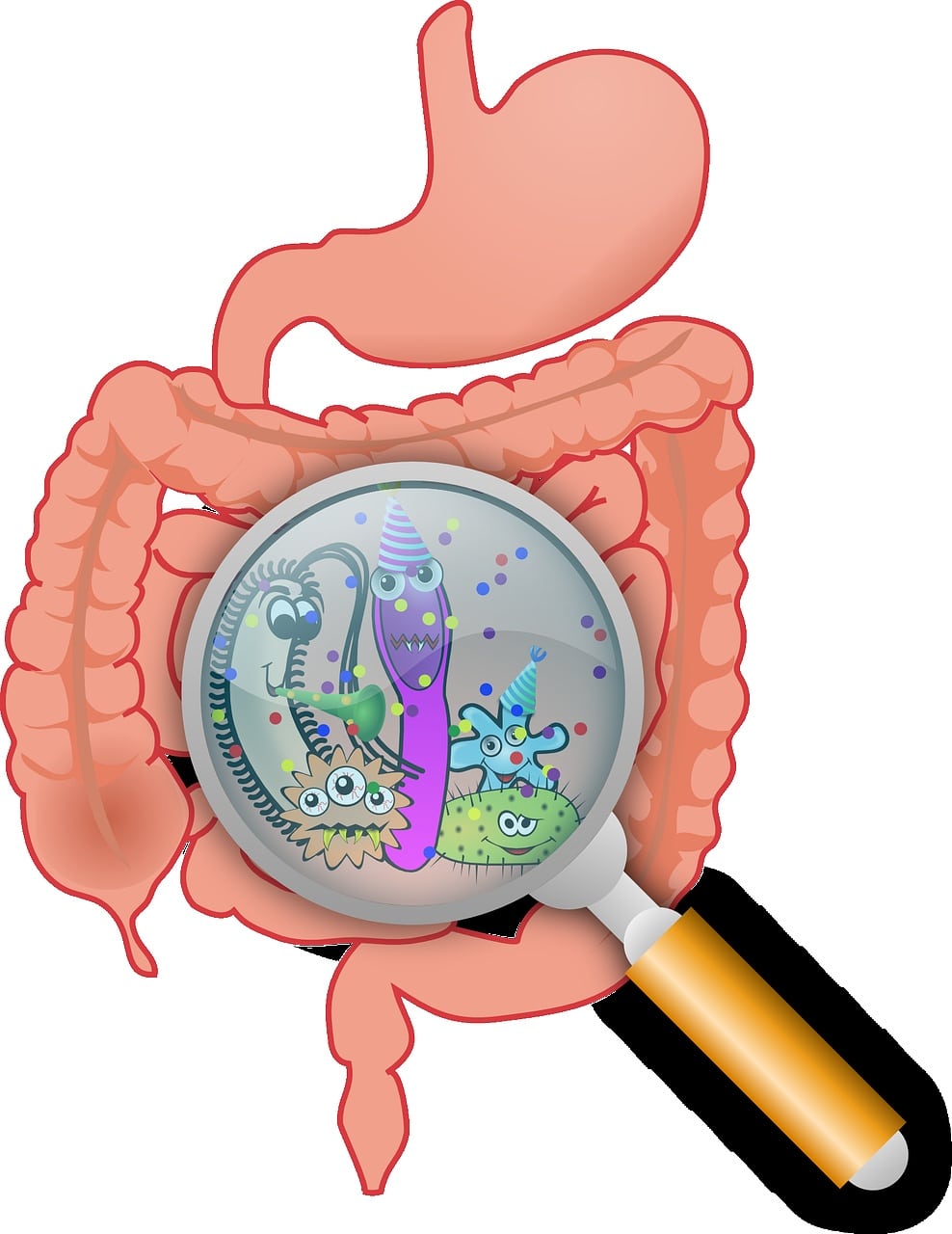 Creon introvabile? Galenica in soccorso con pancreatina