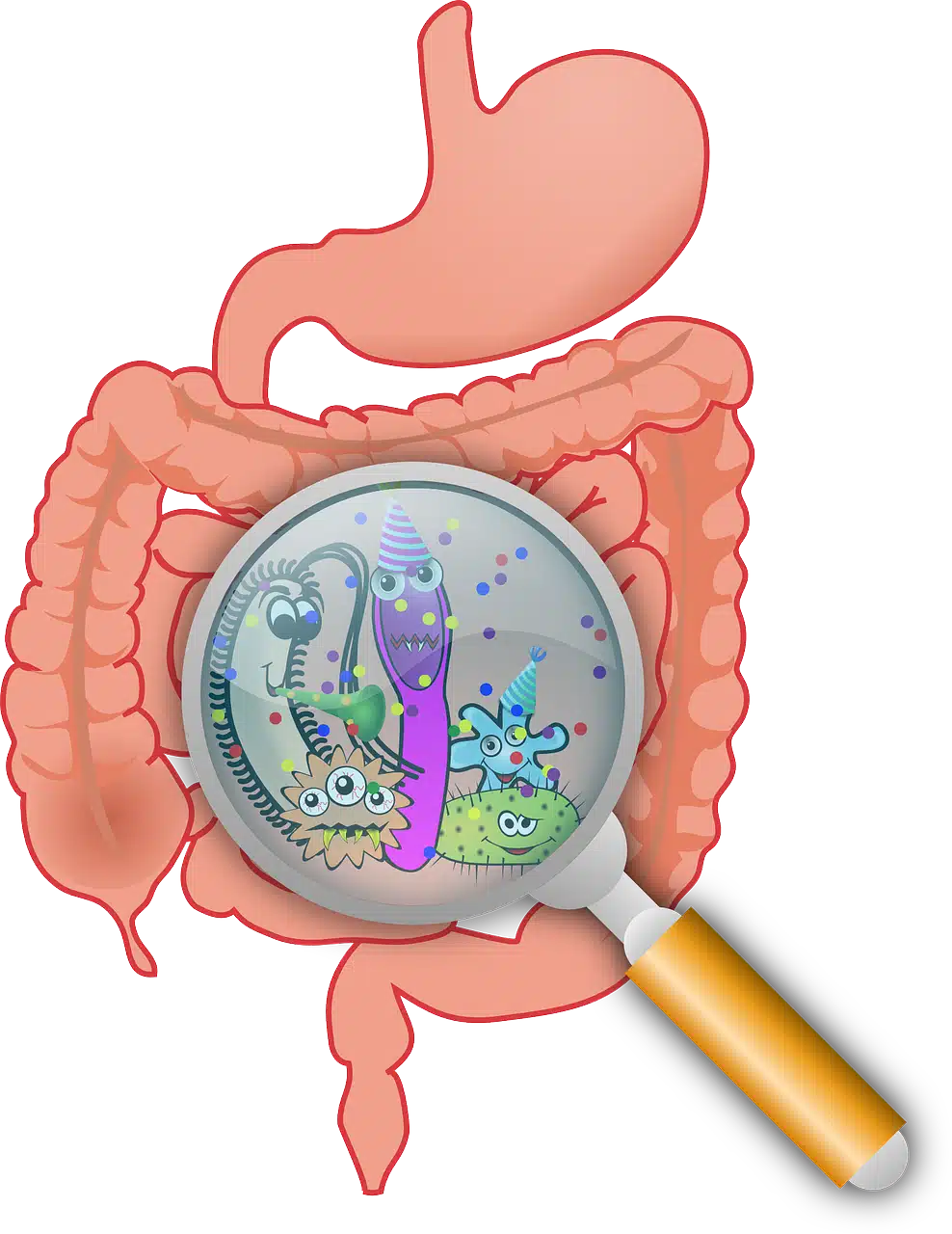 Creon introvabile pancreatina galenica