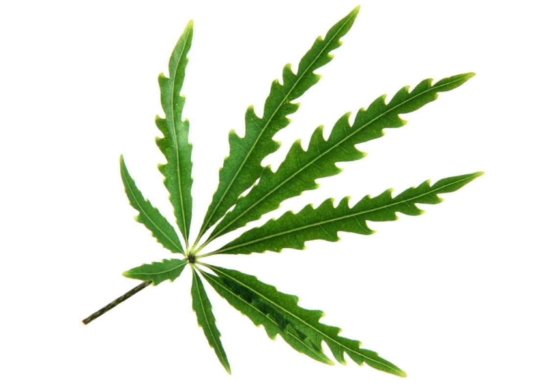 Collirio cannabis terapeutica, farmaco per glaucoma