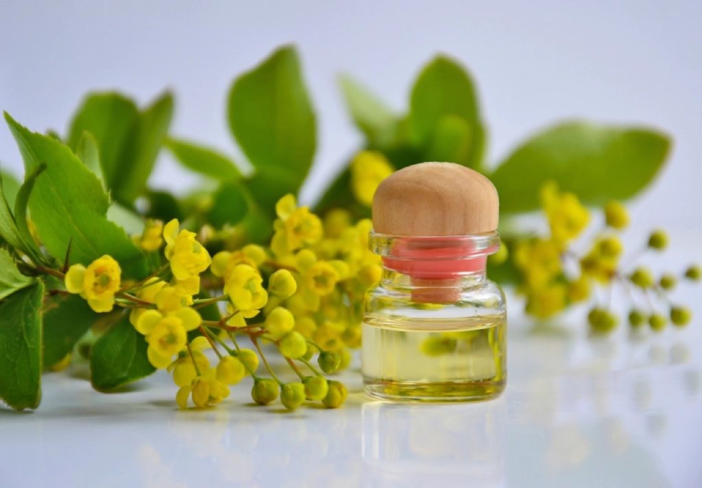 Flaconcino di olio vegetale accanto a rametti di fiori gialli
