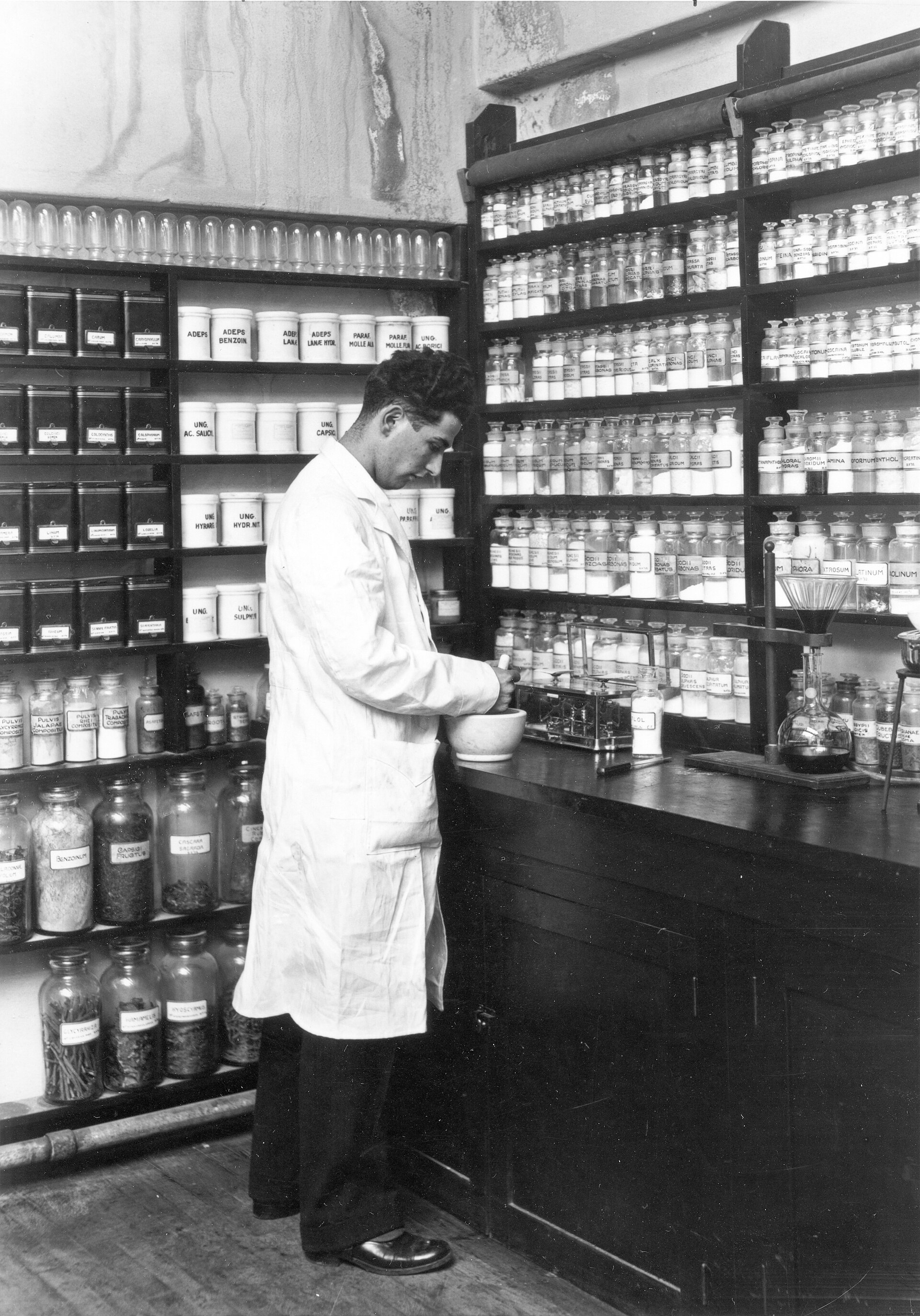 Farmacista al mortaio in un laboratorio galenico degli anni Trenta