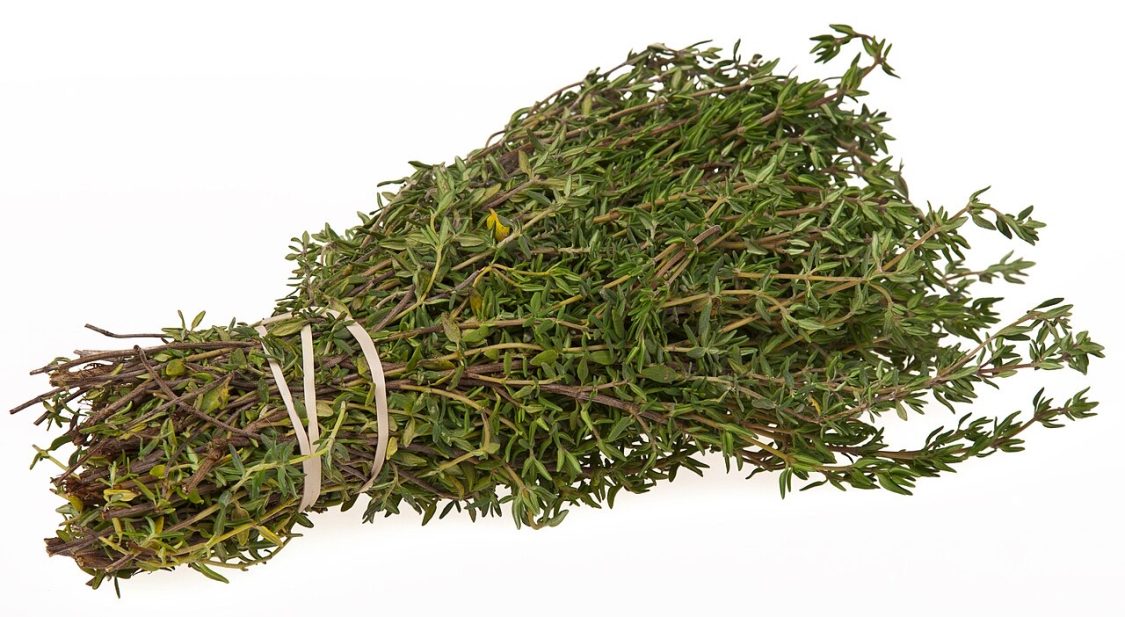 Pasta veterinaria Timo e menta: fitopreparato galenico